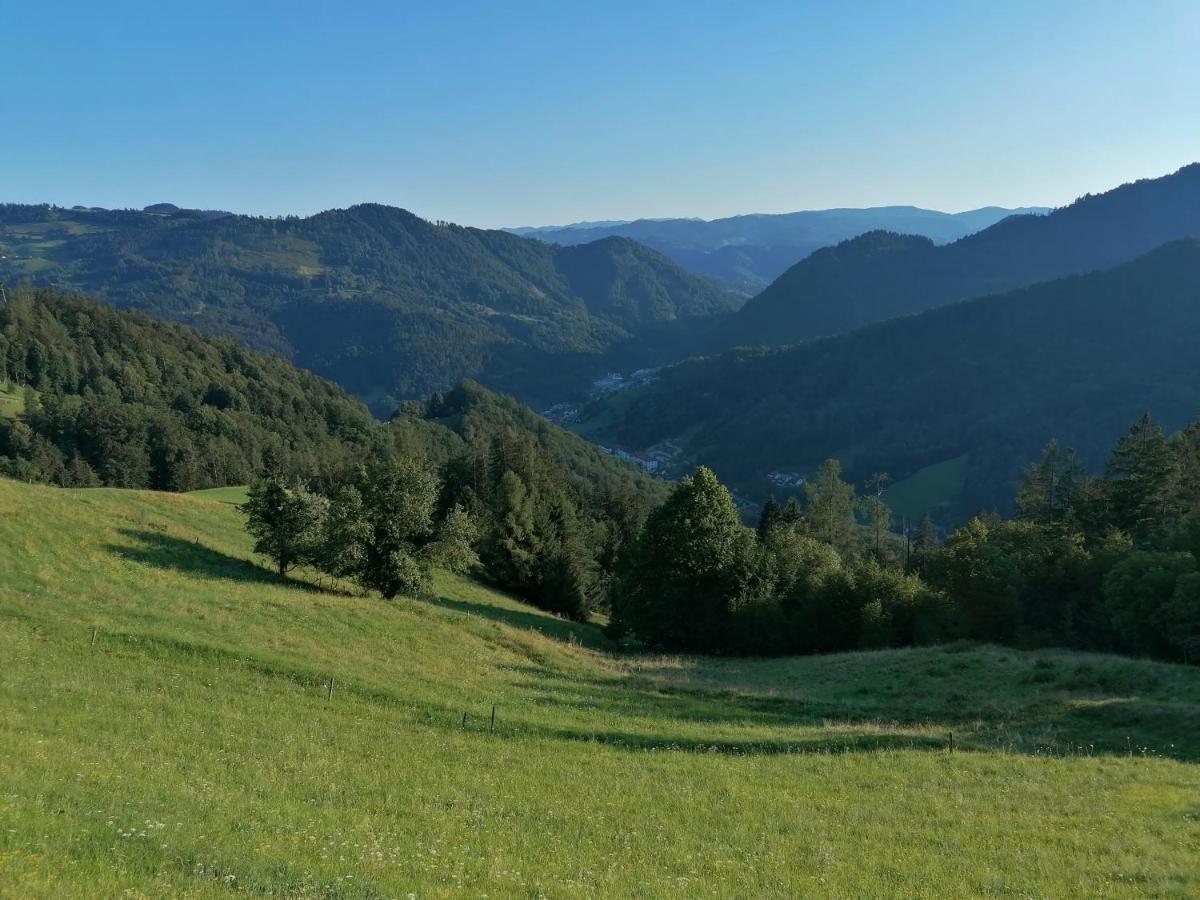 Apartma Na Ravnicah Cerkno Eksteriør bilde