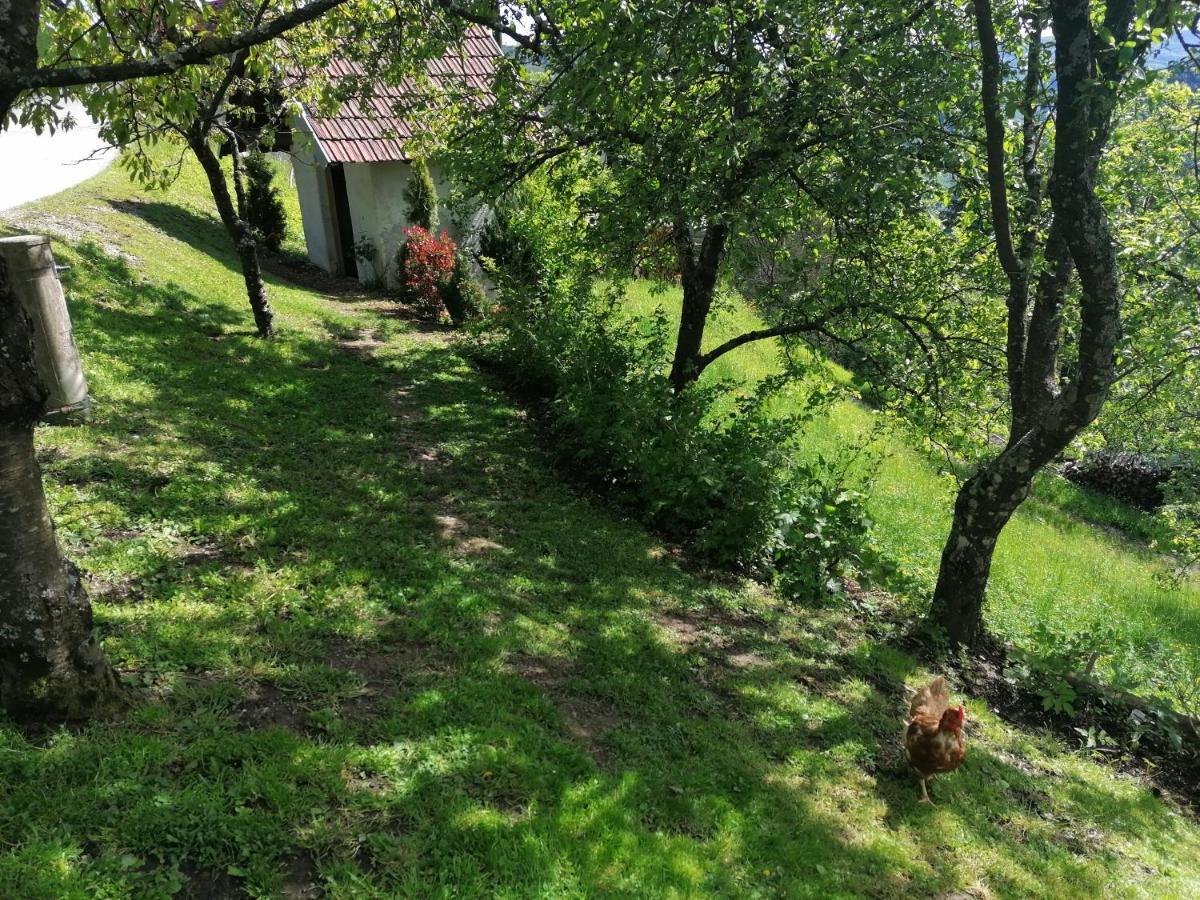 Apartma Na Ravnicah Cerkno Eksteriør bilde