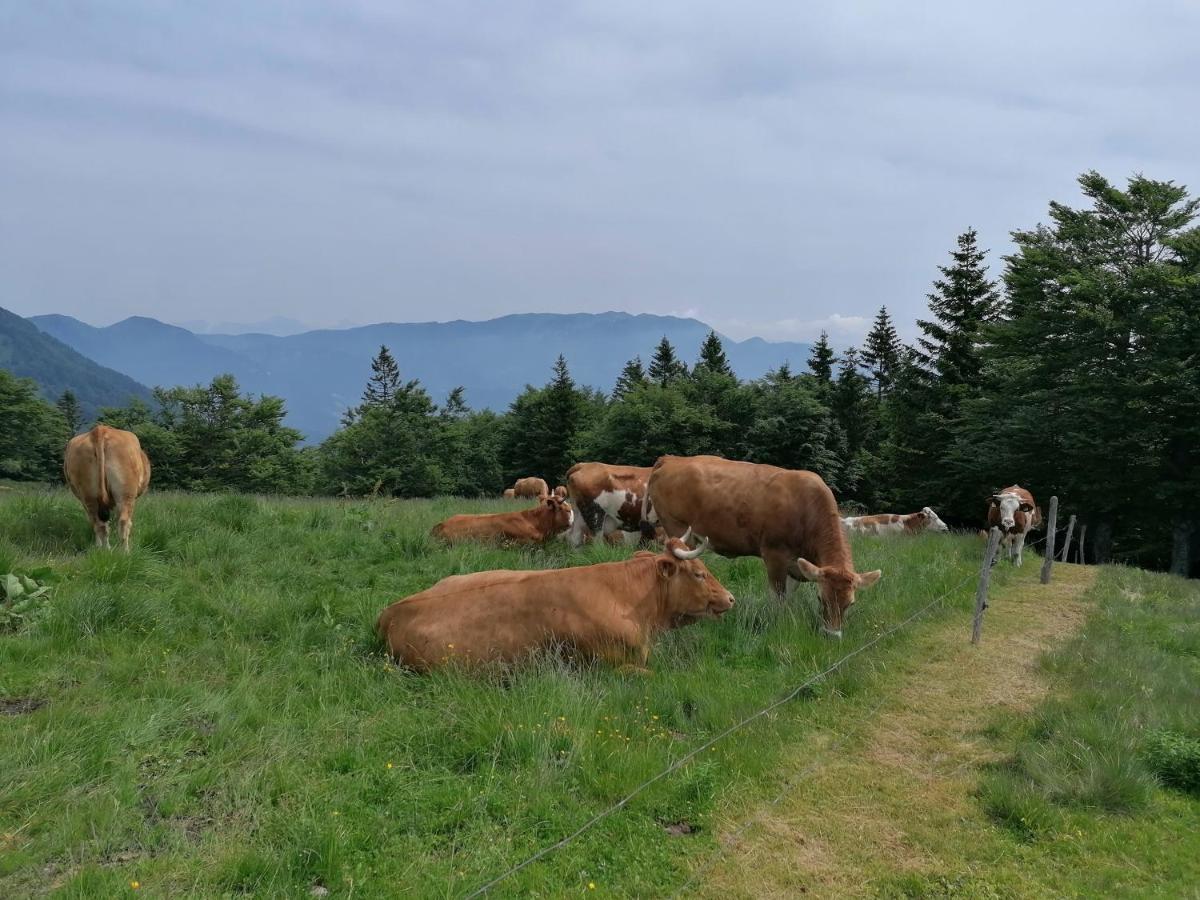 Apartma Na Ravnicah Cerkno Eksteriør bilde